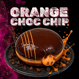Orange Choc Chip